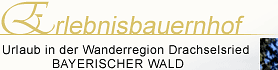 Famililenurlaub Bodenmais in einer Ferienwohnung in Drachselsried. Wanderurlaub Bayerischer Wald.